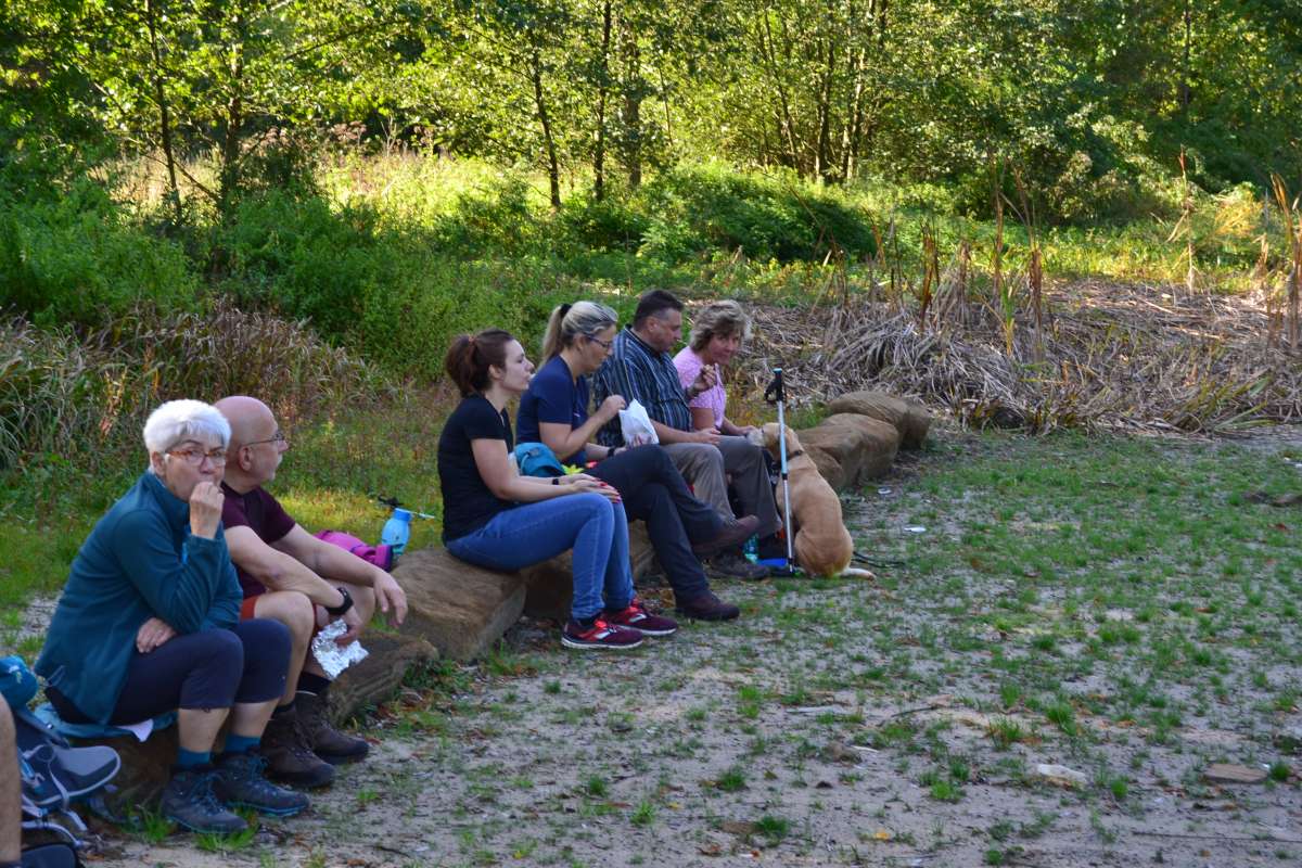 WarndtWaldWeg am 13.10.2019 Wanderarchiv